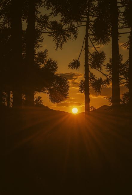 nascer do sol delfim moreira